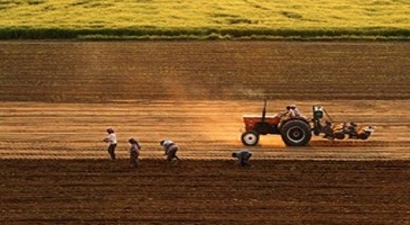 Tarımda Üretici Fiyatları Nisan`da Da Geriledi