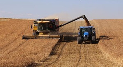 Adana`da Buğday Hasadı Tamamlandı