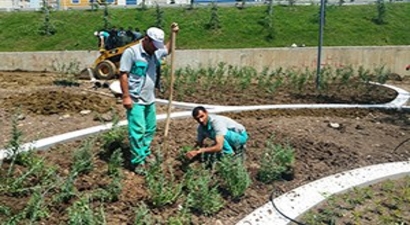 Aromatik Bahçede Sona Gelindi