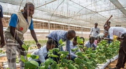 Tika`dan Somali`deki Anadolu Ziraat Fakültesine Destek