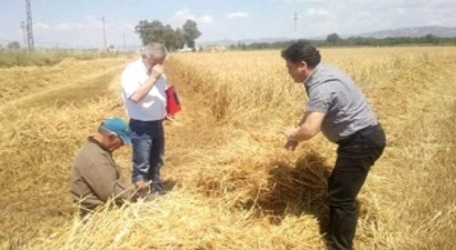 Aydın`da Biçerdöver Kontrolü ve Anız Yangını Tebliği Yayınlandı