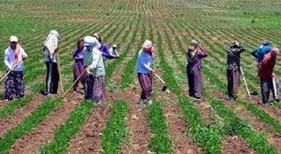 Çalışanların 3`te Biri Kayıt Dışı