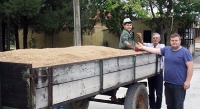 Keşan`da Yılın İlk Buğdayı 1,10 TL`den Satıldı