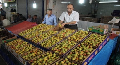 Malatya`da Sezonun İlk Kayısısı Tezgahlara İndi
