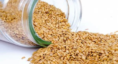 Pastalık Susam Alımı Yapılacak