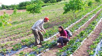 Tarım Danışmanlarından Oturma Eylemi