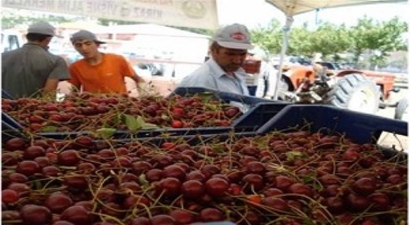 Tüccarlar Üreticilere Acımıyor