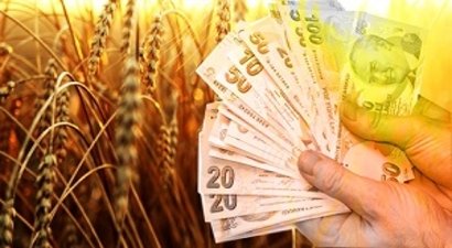 2016 Çiftçi Destek Ödemelerinde Son Durum Ne Oldu?