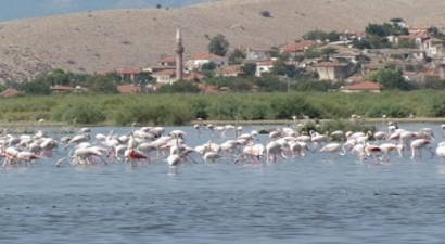 Bafa Gölü Neden Can Çekişiyor?