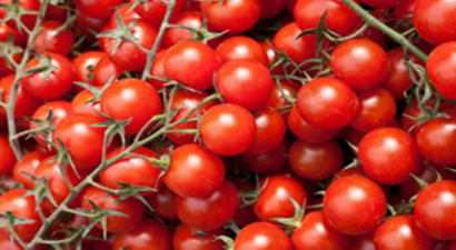 Domatesi Belarus`a, Kirazı Almanya`ya Sattık