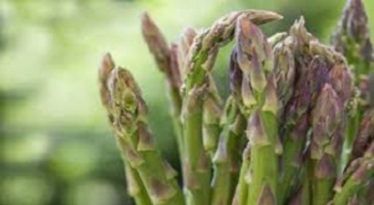 Vitamin Deposu Kuşkonmazın Mevsimi Uzadı