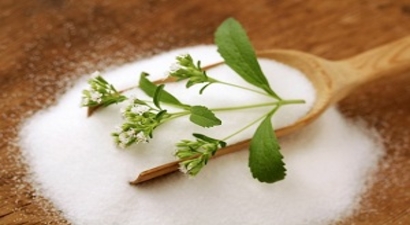 Tatlı Bir Bitki Stevia