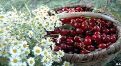 İhracatın Yeni Markası `Tadiki`