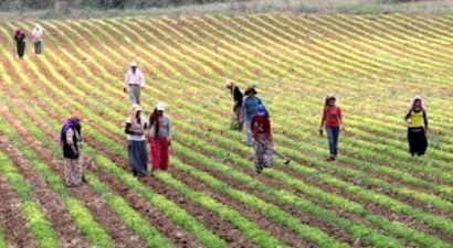 Kayıt Dışı En Çok Tarımda
