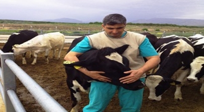 Veterinerlik Hizmetleri Yetiştiriciler İçin Avantajlı Hale Geldi