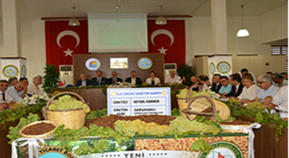 Sezonun İlk Kuru Üzümü 50 TL`den Satıldı