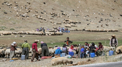 Otlu Peynir`in Asırlık Sırrı!