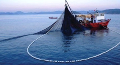 Su Ürünleri Avcılığında Yeni Düzenleme