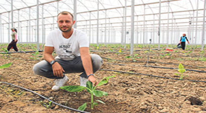 Ege`nin İlk ve Tek Muz Serası Açıldı