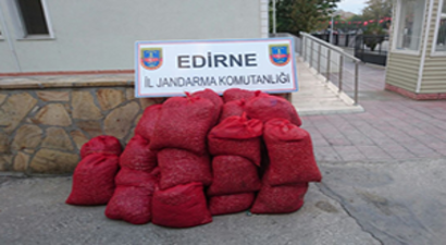 20 bin TL`lik Kaçak Kum Midyesi Ele Geçirildi