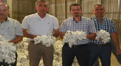 Sezonun İlk Pamuk Alımı Yapıldı