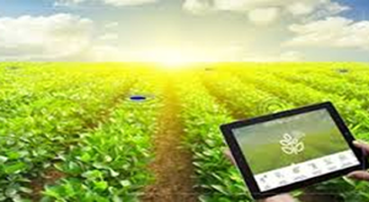Çiftçiler Farm 2.0 İle Verimliliği Arttıracak