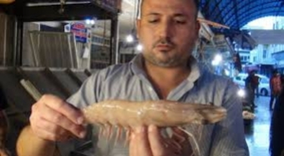 Akdeniz`de İlk Kez Görüldü...