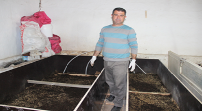 Emekli Asker Kiraladığı Ahırda Solucan Gübresi Üretiyor