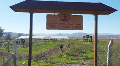 Bafra`ya Tıbbi Bitkiler Parkı