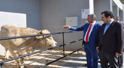 `Türk Tarımı, Dünyada Artık Küresel Bir Aktör`