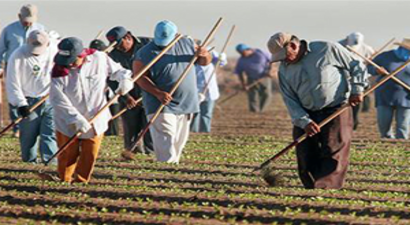 Tarımda İstihdam Arttı
