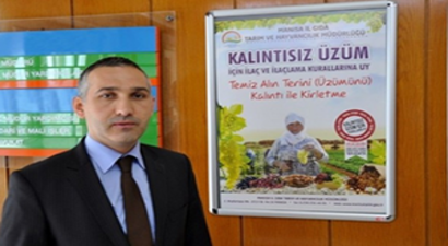 Üzümde Zirai İlaç Kalıntısı Sıfıra İndi