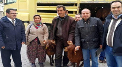 Genç Çiftçi Destekleri Devam Ediyor