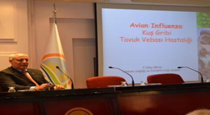 İzmir`de Kuş Gribi Alarmı