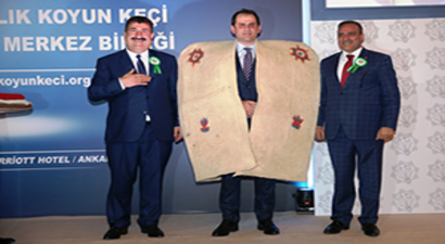 Türkiye`de `Çobanlar Günü` Düzenlenecek