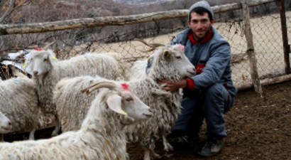 Genç Çobana Keçi Desteği