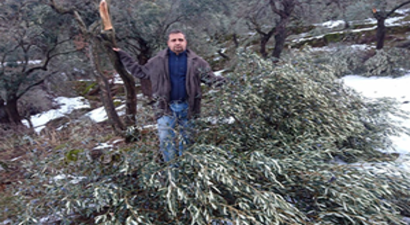 Aydın`da Kar Felaketi