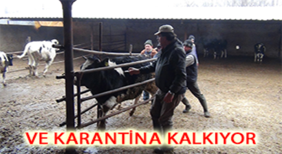 Karantina 16 Şubat`ta Bitiyor