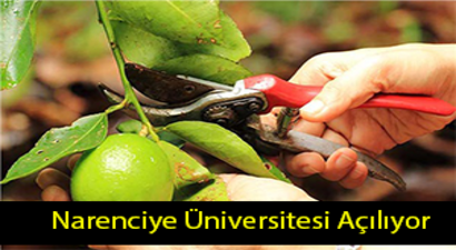 Mersin`de Narenciye Üniversitesi Açılacak