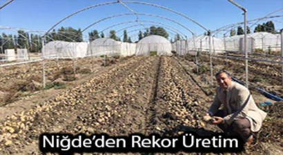 Patates Üretiminde Rekor Niğde`nin