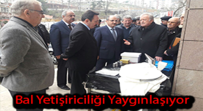 Bal Yetiştiriciliği Yaygınlaşıyor