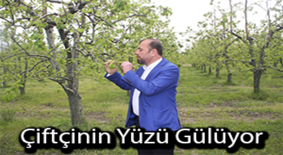 Bu Sene Meyve Bolluğu Yaşanacak