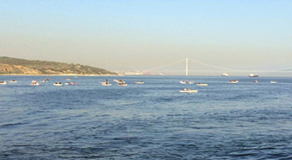 Körfez` de Balık Çeşitliliği Artacak