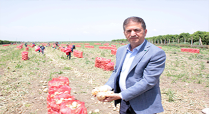 Rusya Yasağı Kaldırdı, İlk Hasat Başladı