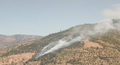 1 Hektar Tarım Arazisi Zarar Gördü