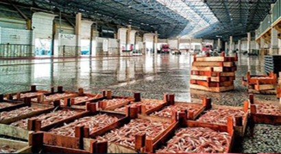 Bakan Tüfenkci: `Balık ve Meyve Artık Aynı Halde`