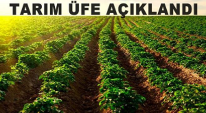 TÜİK Haziran Ayı TÜFE Verilerini Açıkladı