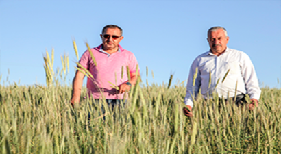 Anadolu`da Ürünler Filizlendi