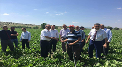 İlk Kez Damla Sulama Sistemi Uygulanıyor