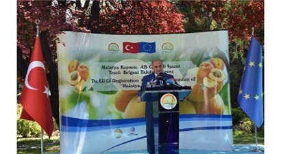 Ab Coğrafi İşaret Tescil Belgesi Mtso`ya Verildi